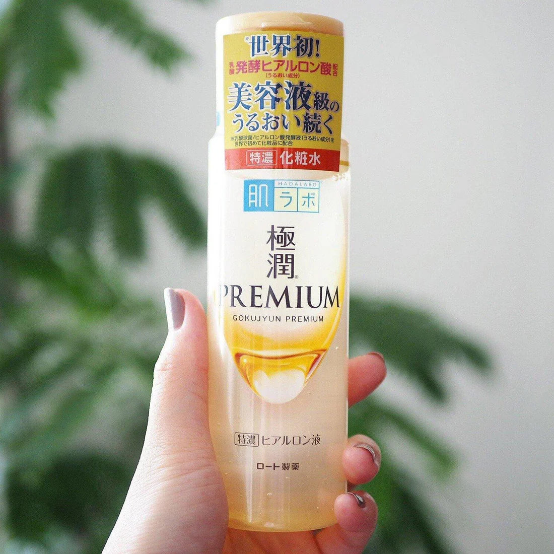 Rohto Mentholatum Hada Labo Gokujyun Premium Hyaluronic Acid Hydrating Lotion (170ml)